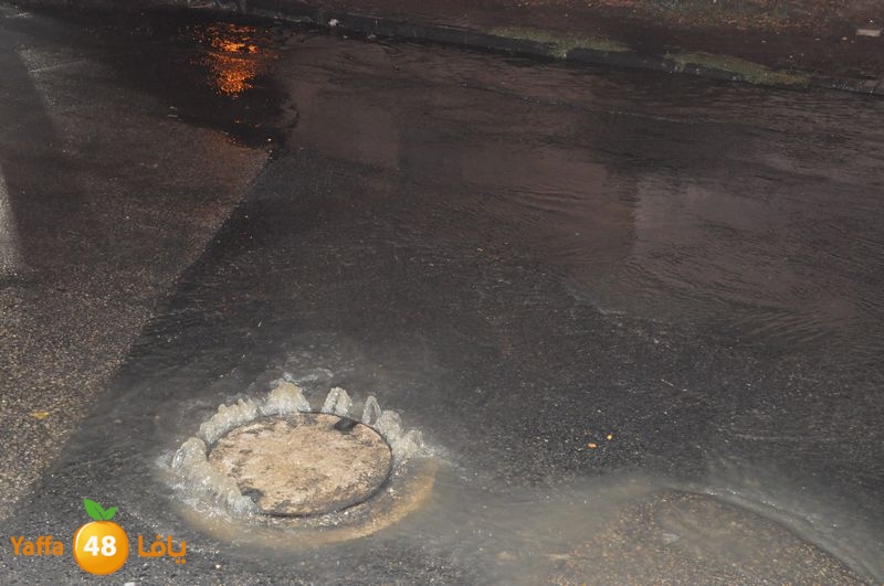 majary wa7a 1204 (14).JPG